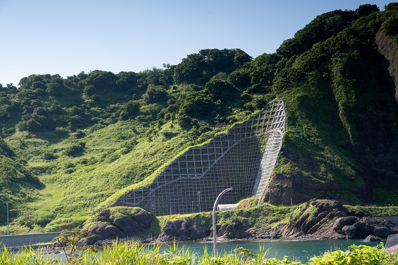 AdobeStock_397609241